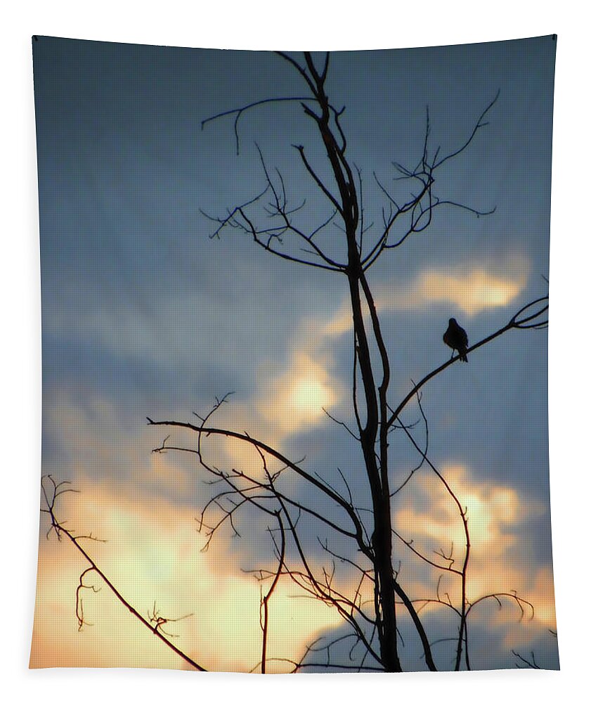 Robin Tapestry featuring the photograph Robin Watching Sunset After The Storm by Sandi OReilly