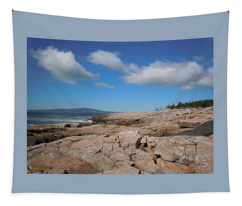 Maine Landscape Tapestry featuring the photograph Rock flow at Schoodic Point by Francine Frank