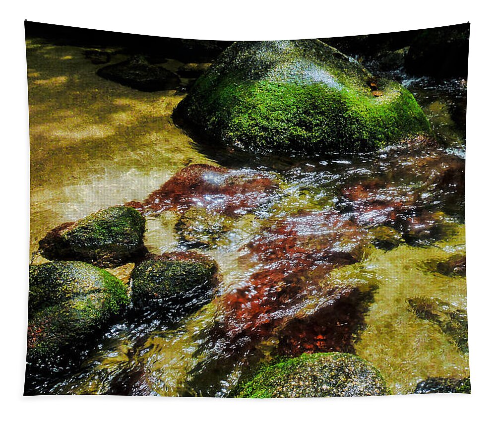 Tropical Queensland Series By Lexa Harpell Tapestry featuring the photograph Rock Pool - Mossman Gorge, Far Narth Queensland, Australia by Lexa Harpell