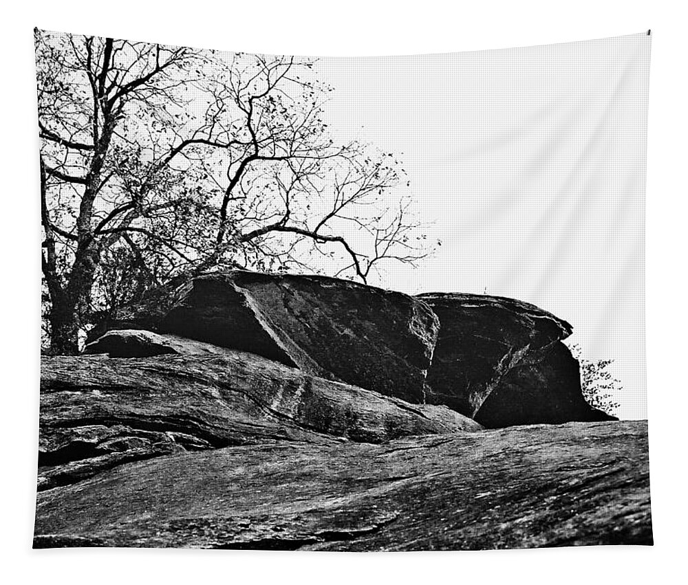 Landscape Tapestry featuring the photograph Rock Wave by Steve Karol