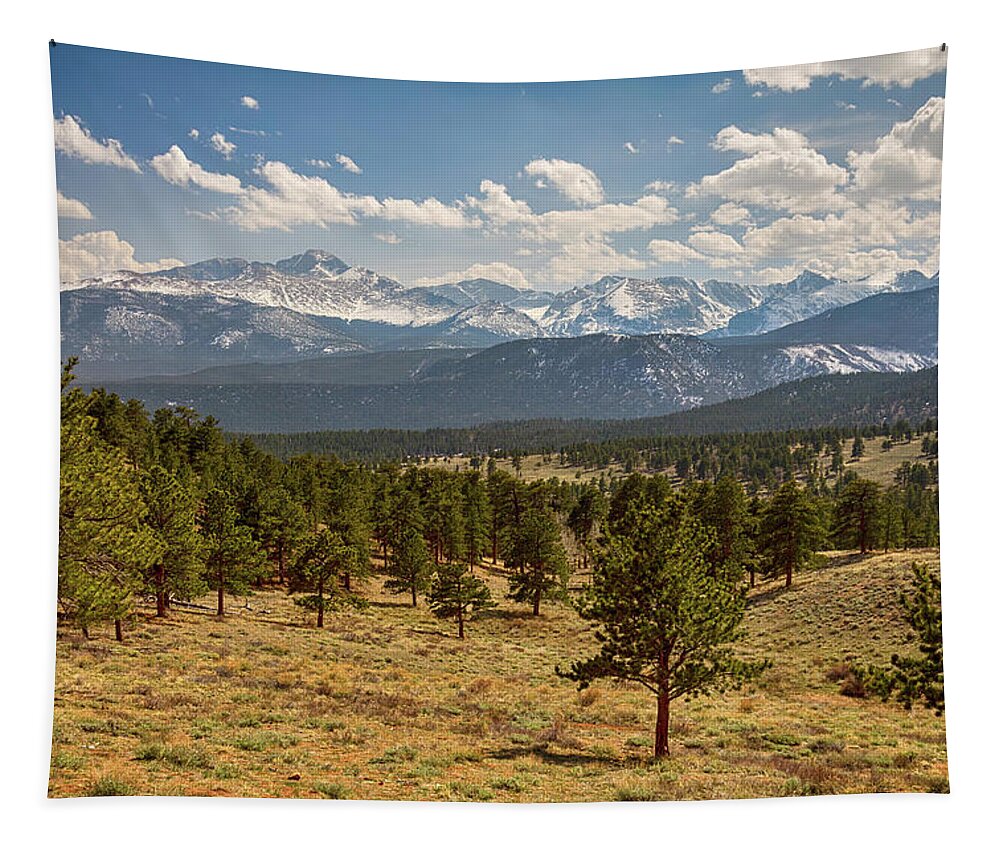 Rocky Mountains Tapestry featuring the photograph Rocky Mountain Afternoon High by James BO Insogna