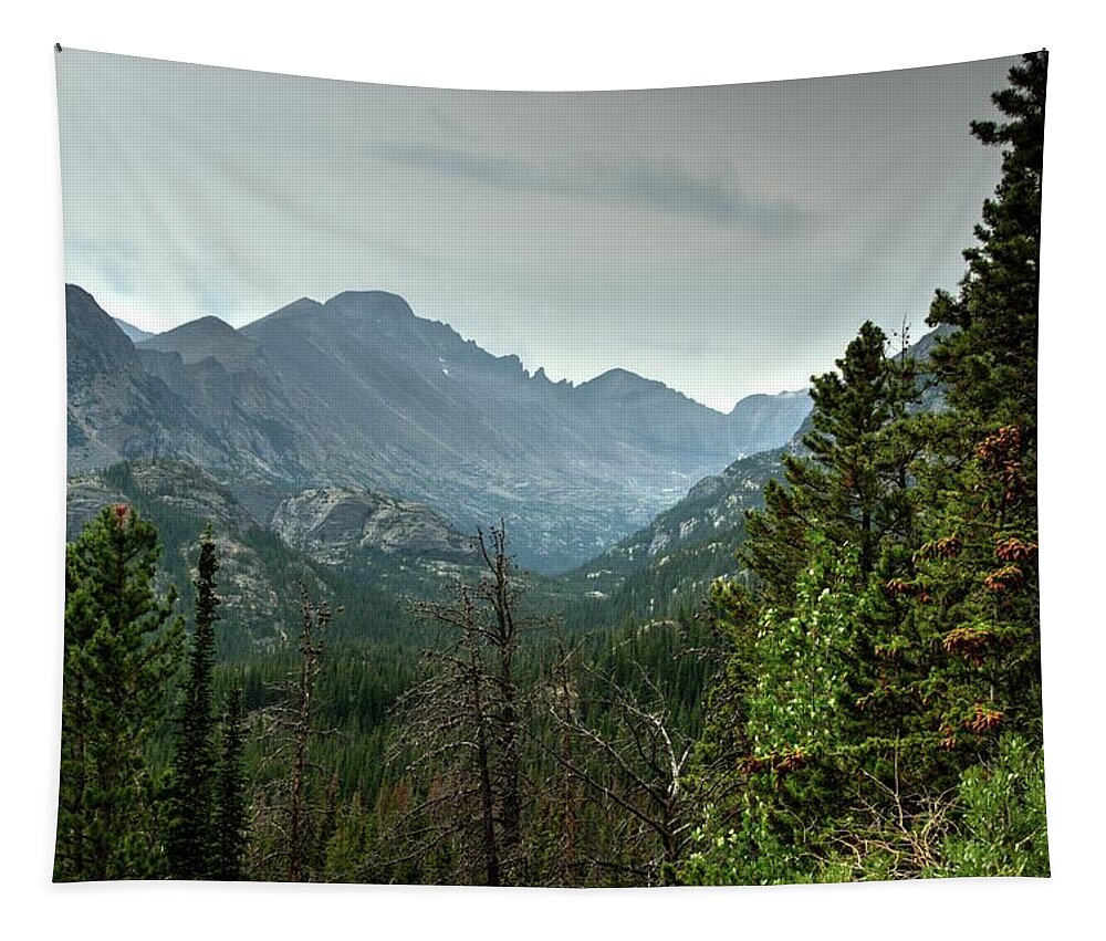 Colorado Tapestry featuring the photograph Rocky Mountains National Park 1 by Dimitry Papkov
