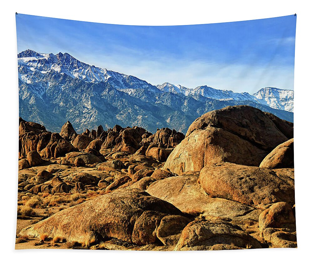 Desert Tapestry featuring the photograph Rocky Whitney by Lawrence Knutsson