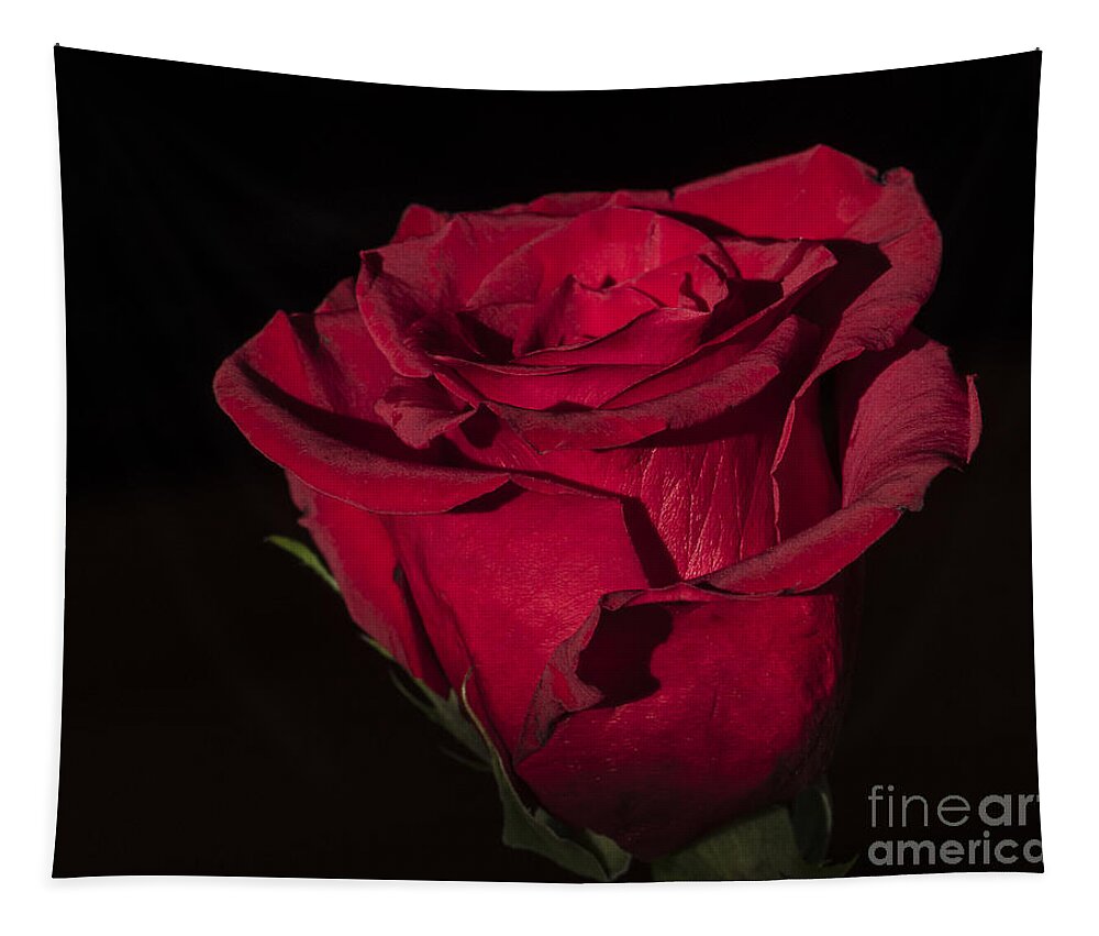Flower Tapestry featuring the photograph Romantic Rose by Joann Long