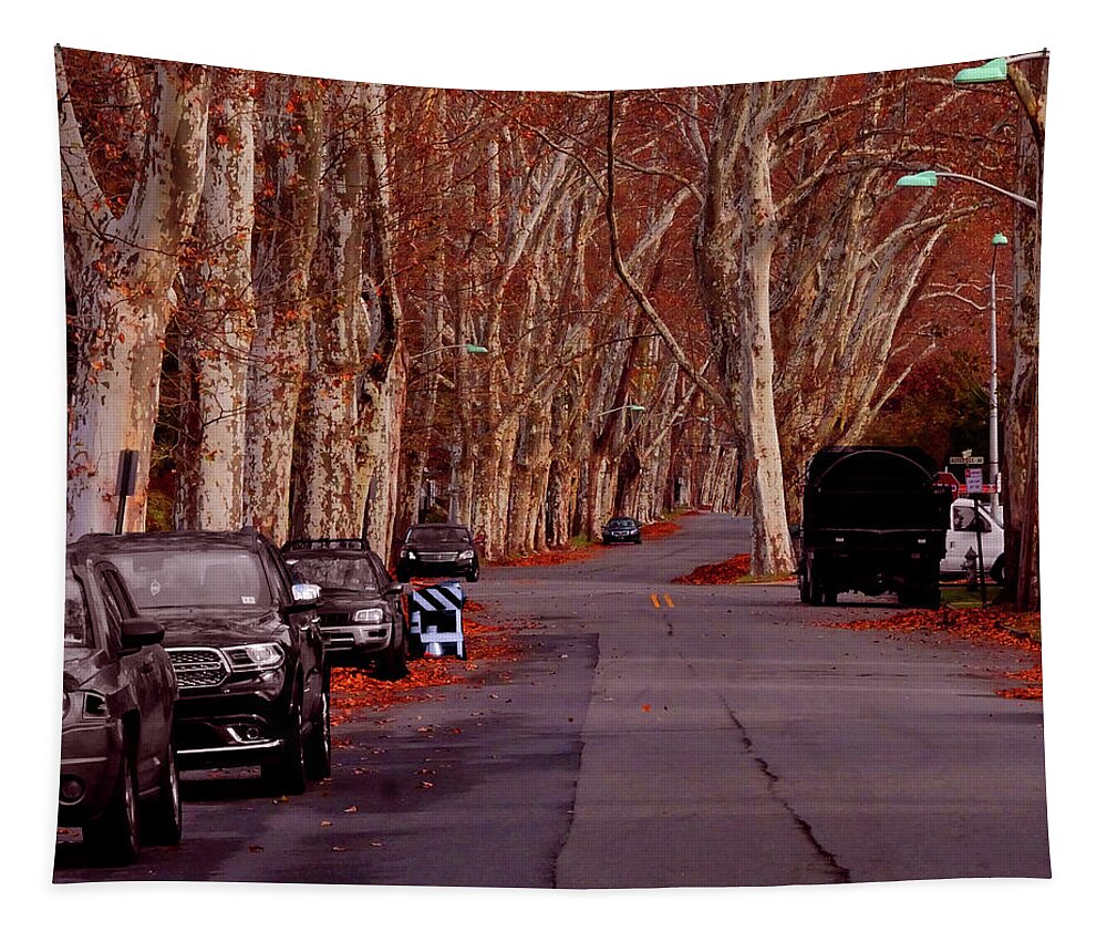 Roosevelt Avenue Tapestry featuring the photograph Roosevelt Avenue Red by Leon deVose