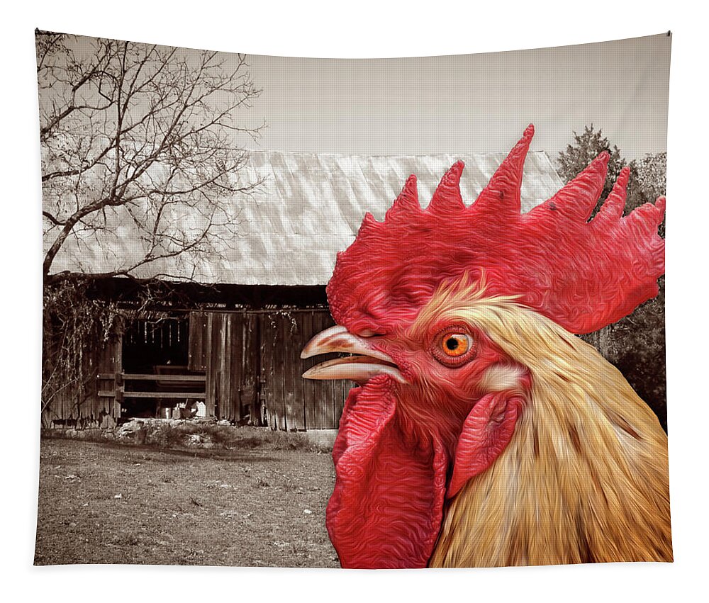 Chicken Tapestry featuring the photograph Rooster Looks At Barn by Phil Perkins