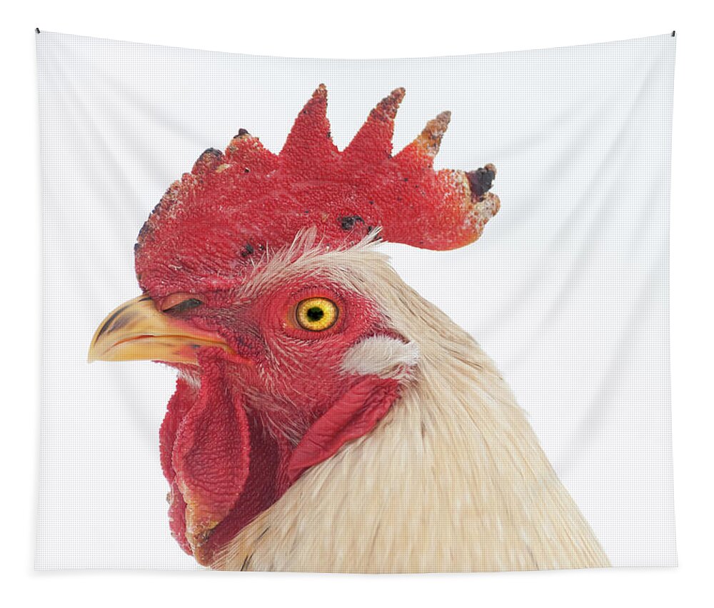 Chicken Tapestry featuring the photograph Rooster Named Spot by Troy Stapek
