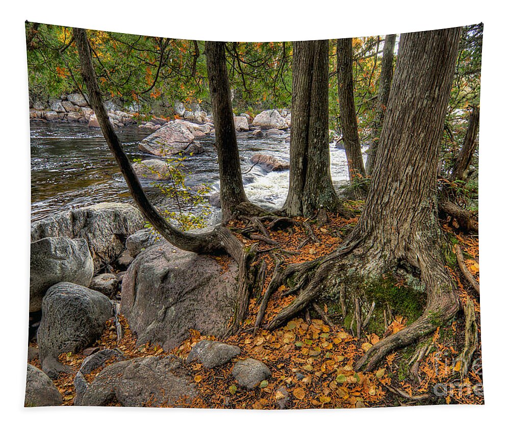 Canada Tapestry featuring the photograph Roots by Doug Gibbons