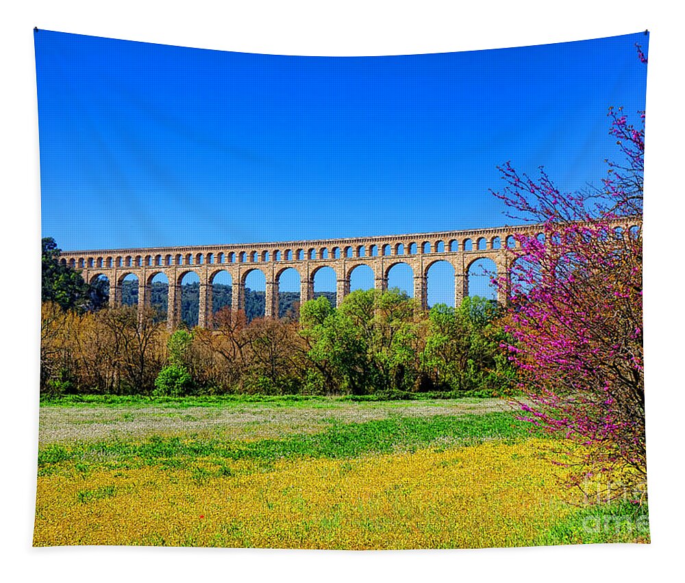 Roquefavour Tapestry featuring the photograph Roquefavour Aqueduct by Olivier Le Queinec