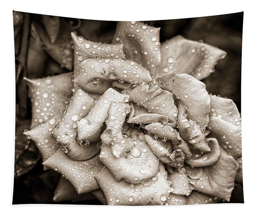 Rose Tapestry featuring the photograph Rose After The Rain by Amber Flowers