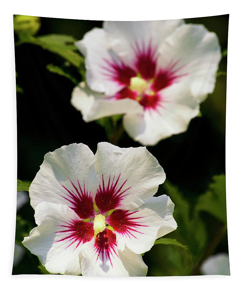 Hibiscus Tapestry featuring the photograph Rose of Sharon by Christina Rollo