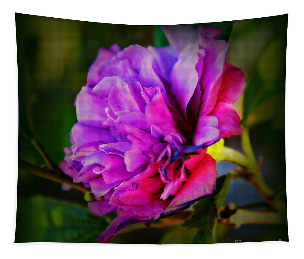 Rose Of Sharon Tapestry featuring the photograph Rose of Sharon by Clare Bevan
