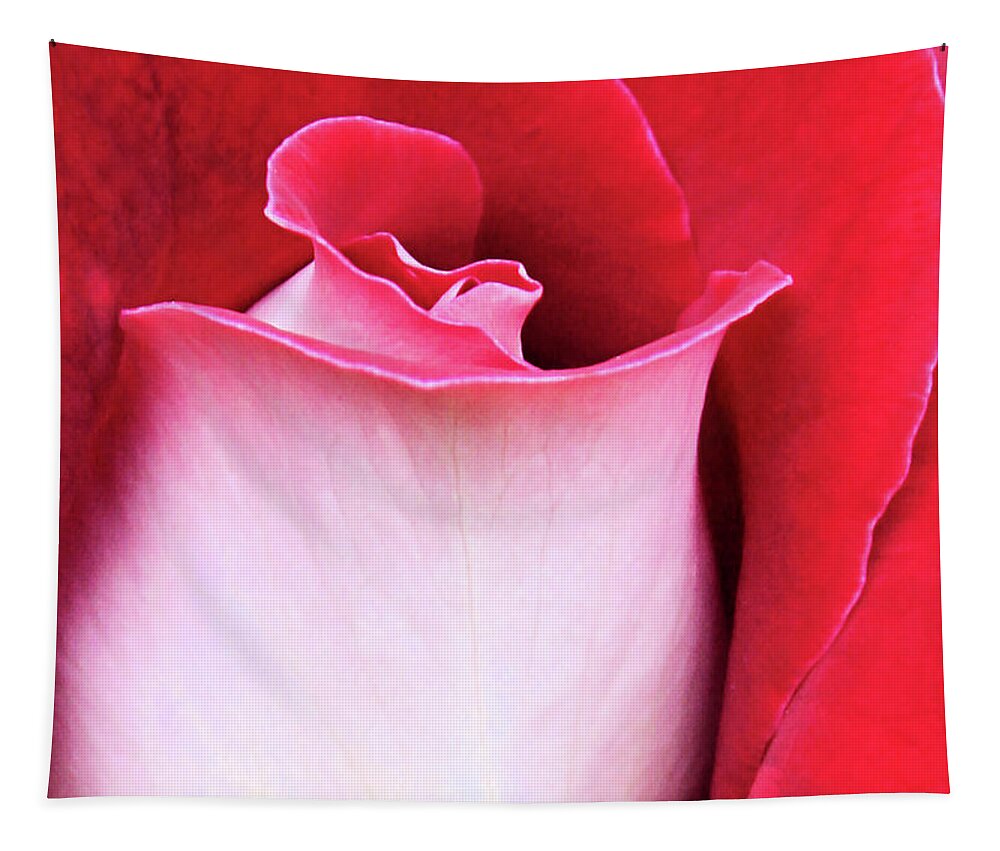 Rose Tapestry featuring the photograph Rose Petals by Kristin Elmquist