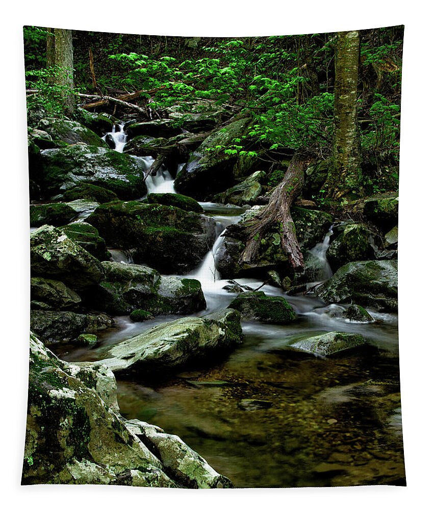 Shenandoah National Park Tapestry featuring the photograph Rose River by C Renee Martin