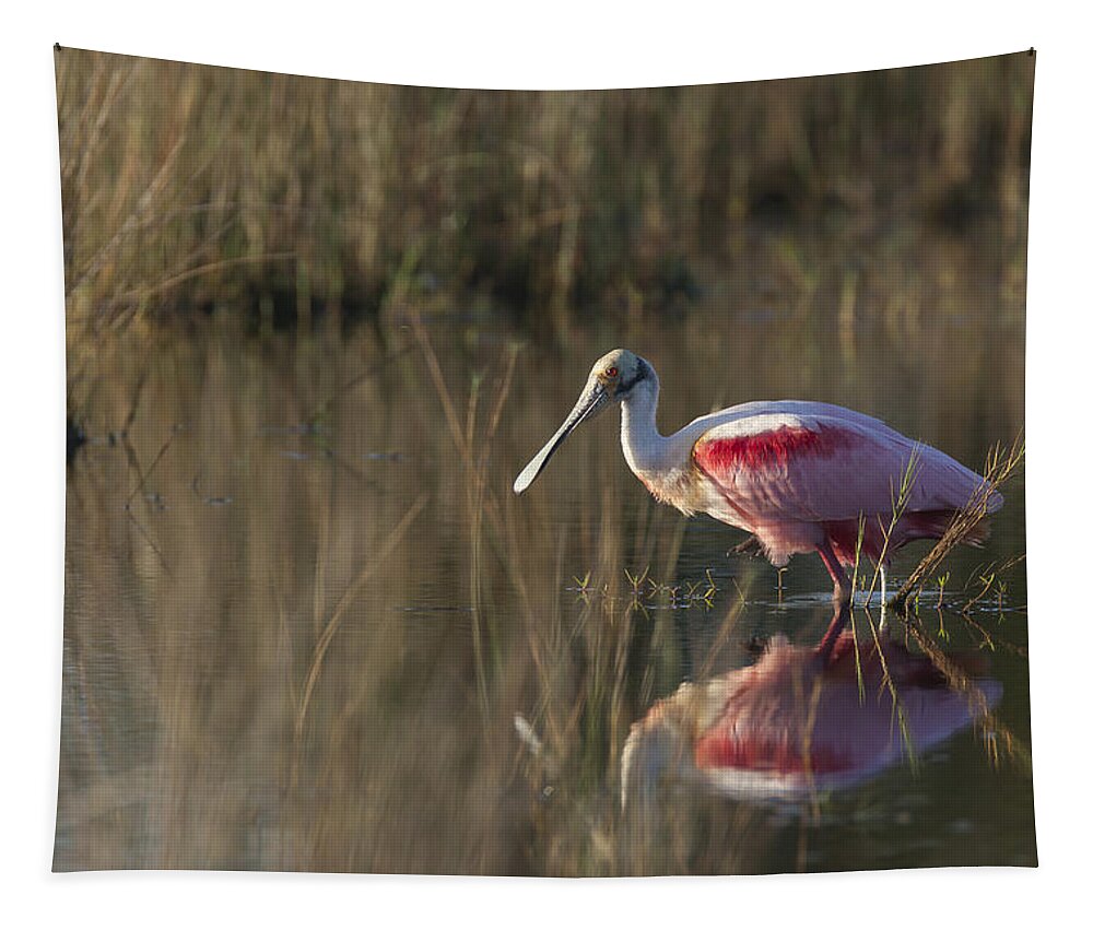 Roseate Tapestry featuring the photograph Roseate Spoonbill in morning light by David Watkins