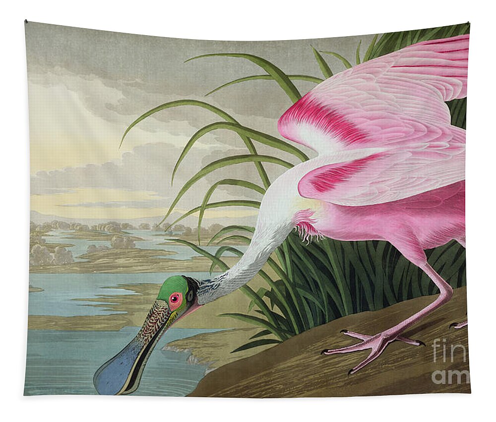 Audubon Tapestry featuring the painting Roseate Spoonbill by John James Audubon