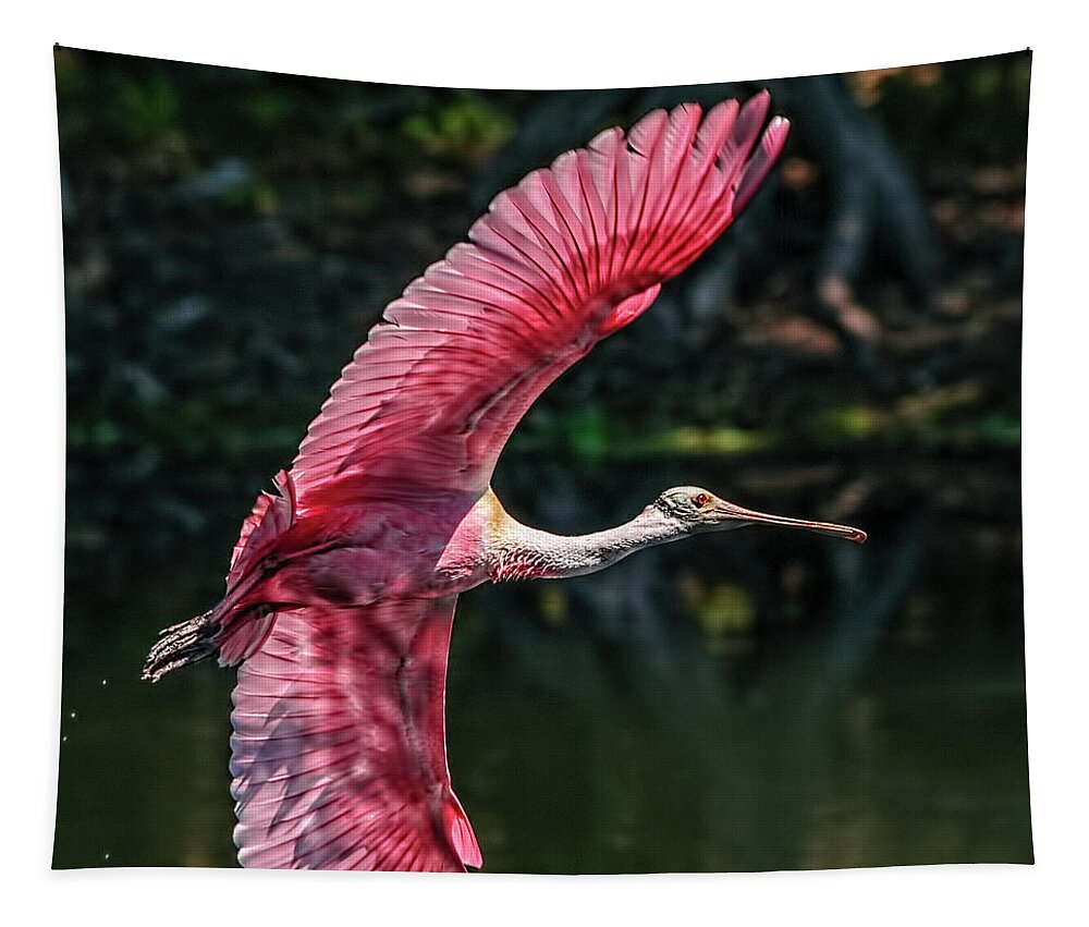 Roseate Spoonbill Tapestry featuring the photograph Roseate Spoonbill by Steven Sparks
