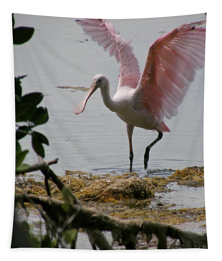 Roseate Spoonbill Tapestry featuring the photograph Roseate Wave by Kimberly Mohlenhoff