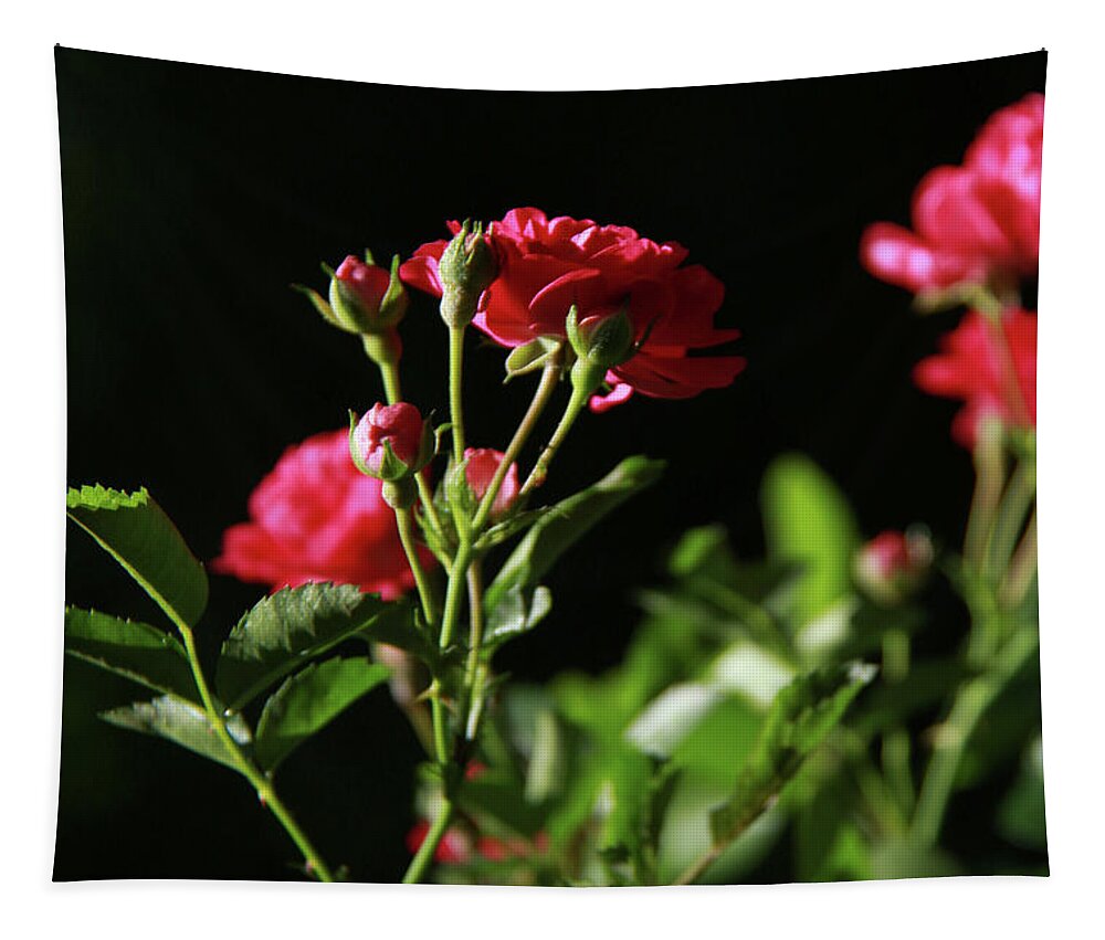 Roses Tapestry featuring the photograph Roses spell summer perfectly by Yvonne Wright