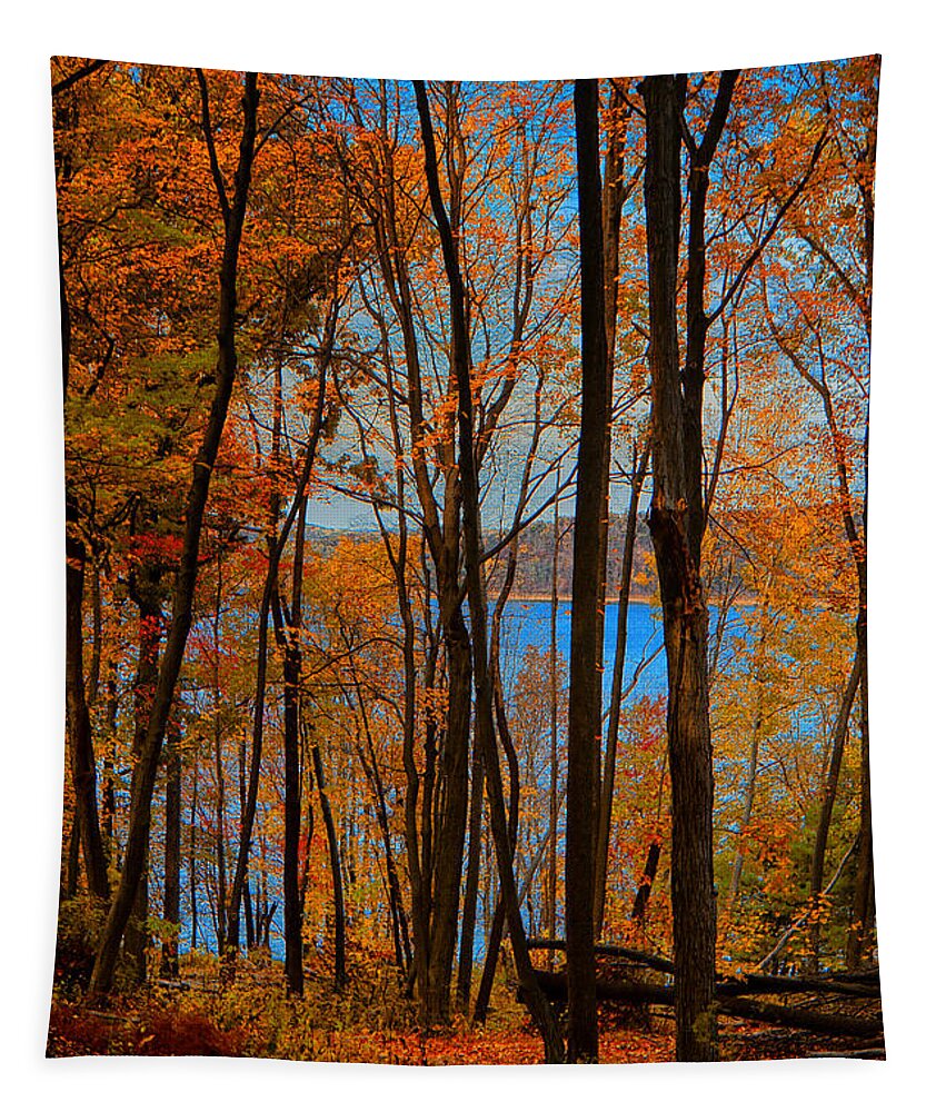 Round Valley State Park Tapestry featuring the photograph Round Valley State Park 5 by Raymond Salani III
