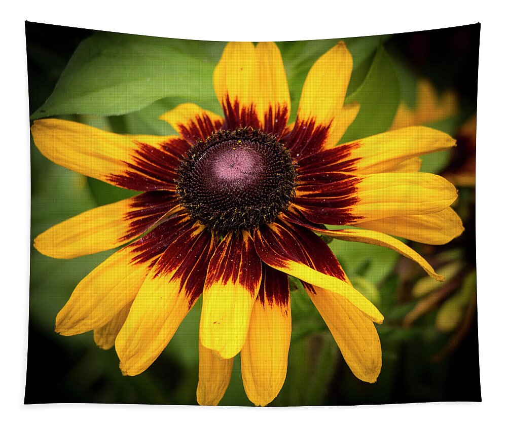 Flowers Tapestry featuring the photograph Yellow Rudbeckia Coneflower by Venetia Featherstone-Witty