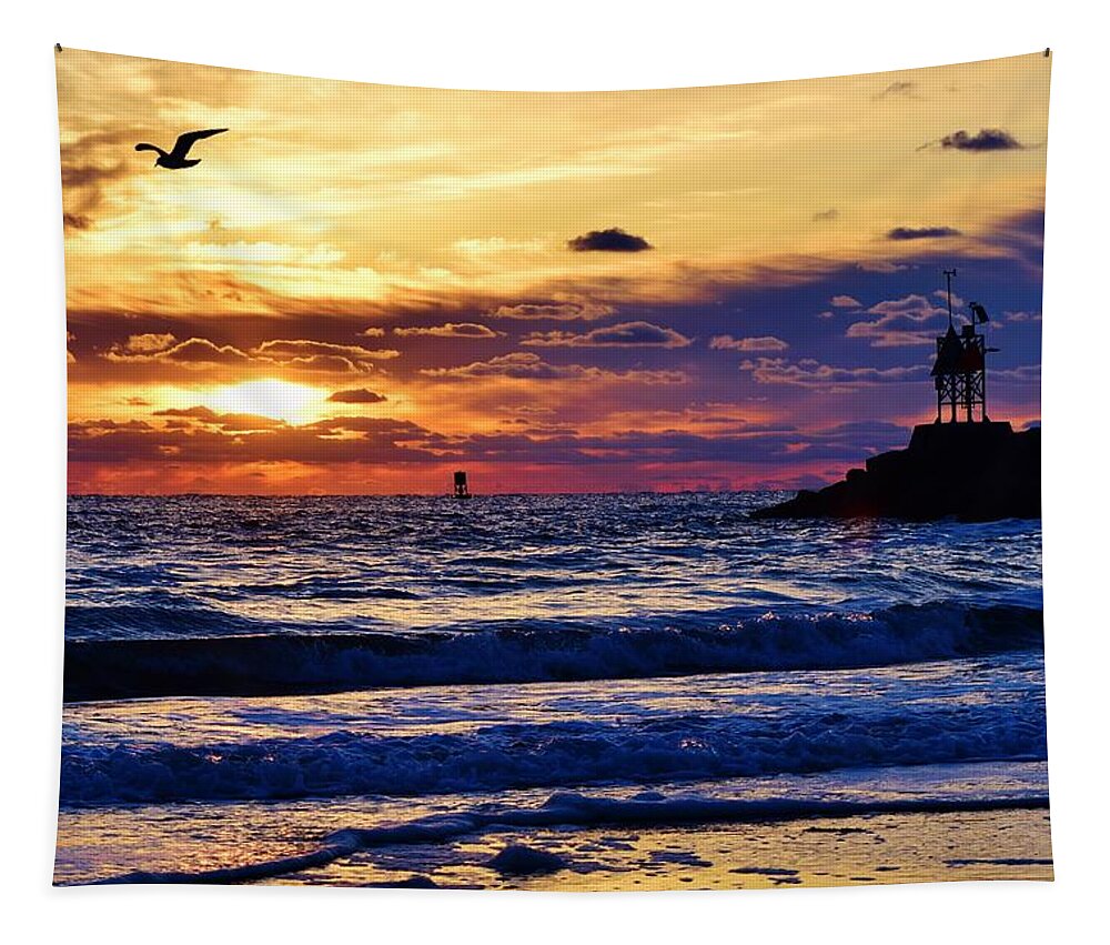 Sunrise Tapestry featuring the photograph Rudee's Beauty by Nicole Lloyd