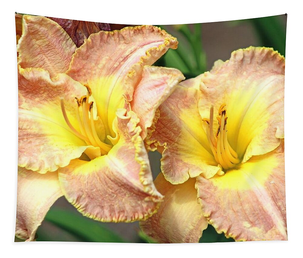  Flower Tapestry featuring the photograph Ruffled day lily by Gayle Miller
