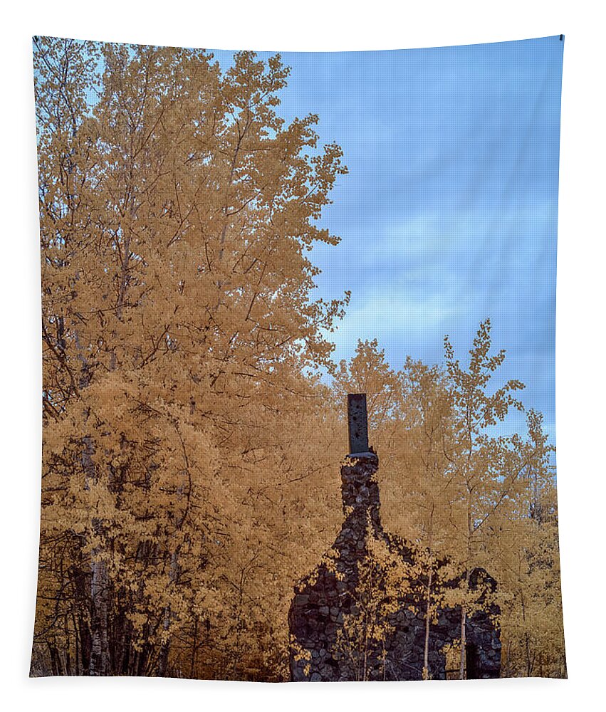 Ruins In Infrared Tapestry featuring the photograph Ruins In Infrared by Paul Freidlund