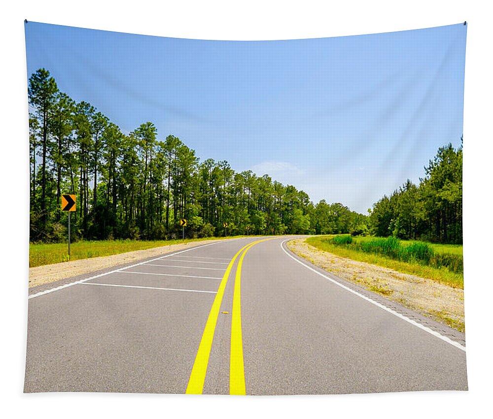 Alabama Tapestry featuring the photograph Rural Highway by Raul Rodriguez