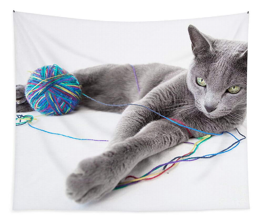 Russian Tapestry featuring the photograph Russian Blue by Nailia Schwarz