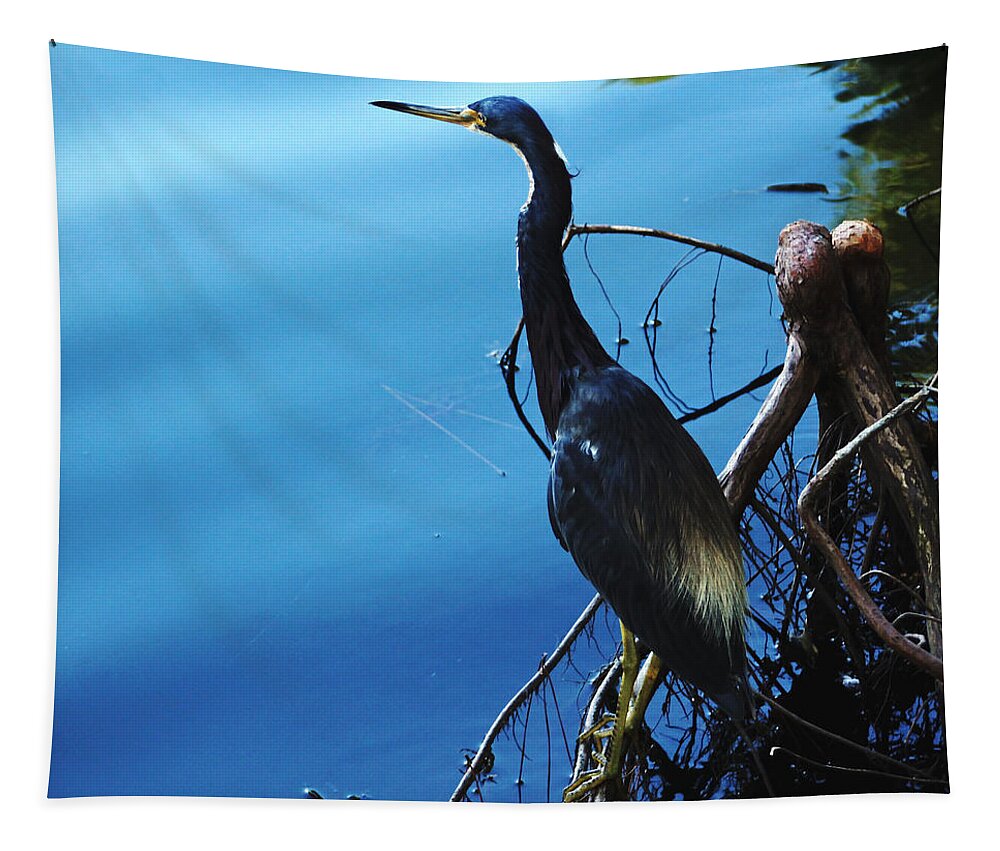 Heron Tapestry featuring the photograph Rusty Blue by Debbie Oppermann