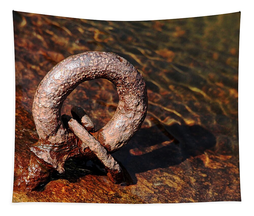 Rust Tapestry featuring the photograph Rusty Ring by Debbie Oppermann
