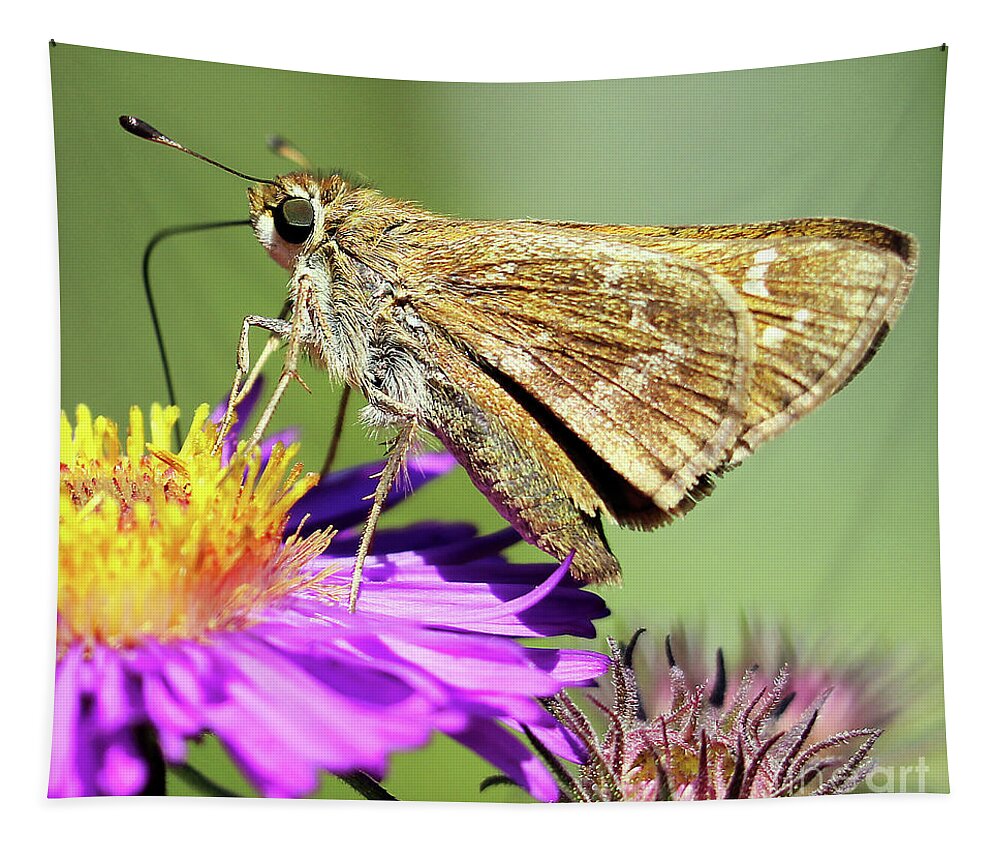  Female Tapestry featuring the photograph Sachem Skipper by Jennifer Robin