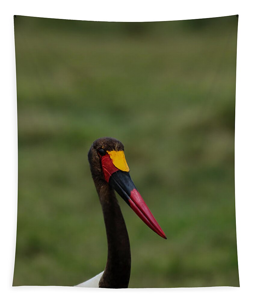 Birds Of Africa Tapestry featuring the photograph Saddle Billed Stork by Ramabhadran Thirupattur