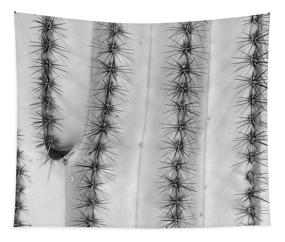 Saguaro Tapestry featuring the photograph Saguaro Cactus Close-Up BW by James BO Insogna