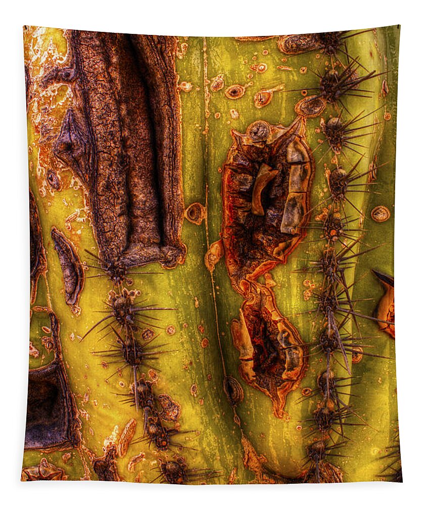Saguaro Tapestry featuring the photograph Saguaro Detail No. 24 by Roger Passman