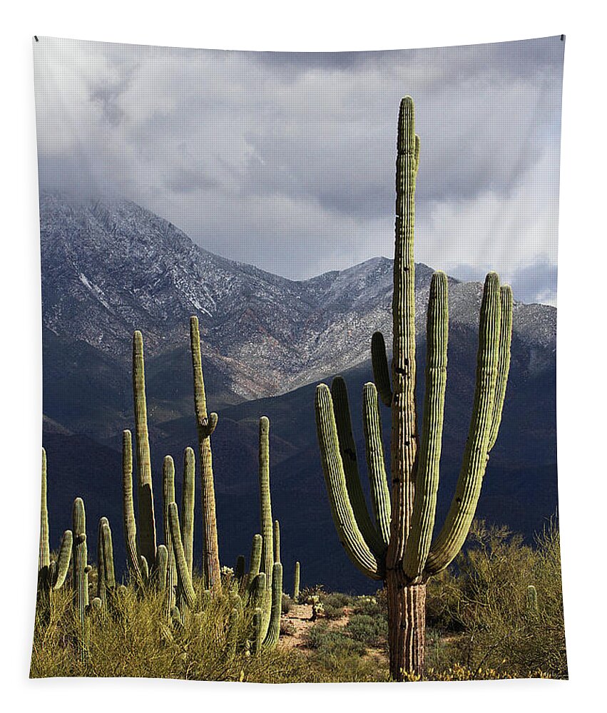 Saguaros And Four Peaks Tapestry featuring the digital art Saguaros And Four Peaks by Tom Janca