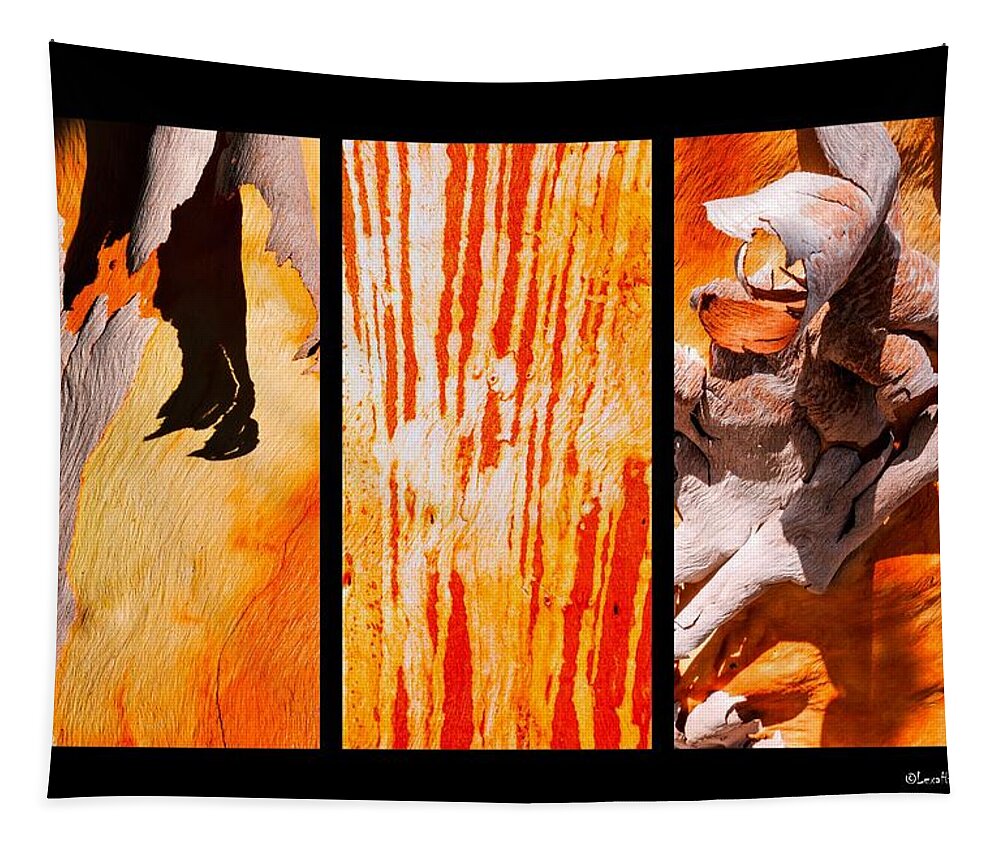 Australian Tree Bark Series By Lexa Harpell Tapestry featuring the photograph Salmon Gum Tree Triptych by Lexa Harpell