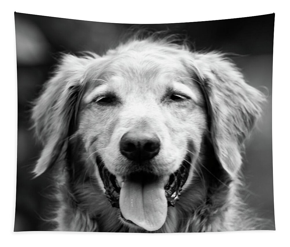 Dog Tapestry featuring the photograph Sam Smiling by Julie Niemela