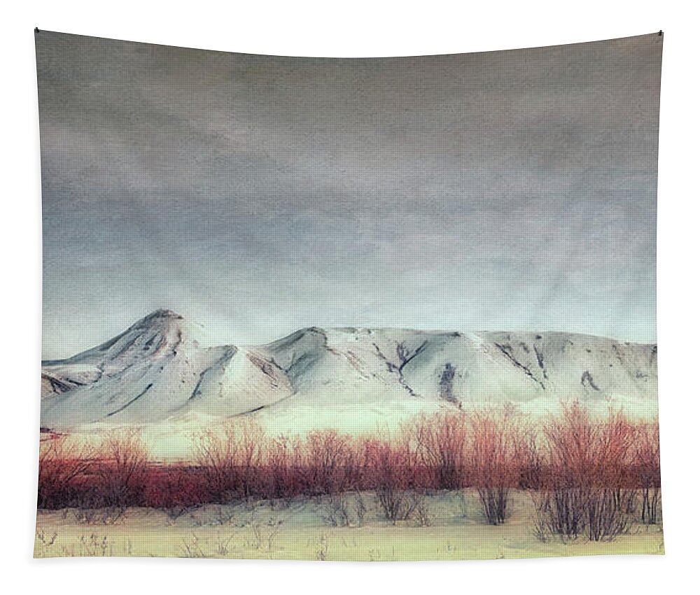 Dempster Highway Tapestry featuring the photograph Sanctuary, by Priska Wettstein
