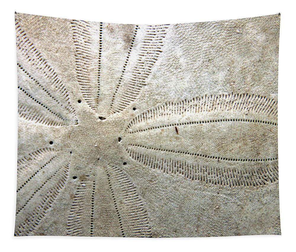 Ocean Tapestry featuring the photograph Sand Dollar by Ira Marcus