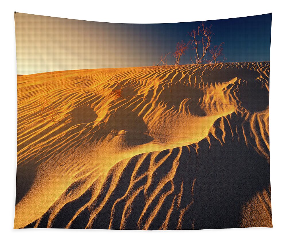 California Tapestry featuring the photograph Sand dune flux lines by William Lee