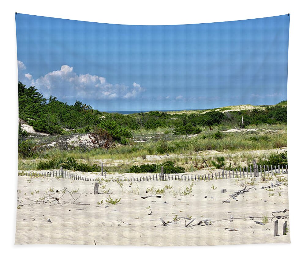 Sand Dune Tapestry featuring the photograph Sand Dune in Cape Henlopen State Park - Delaware by Brendan Reals