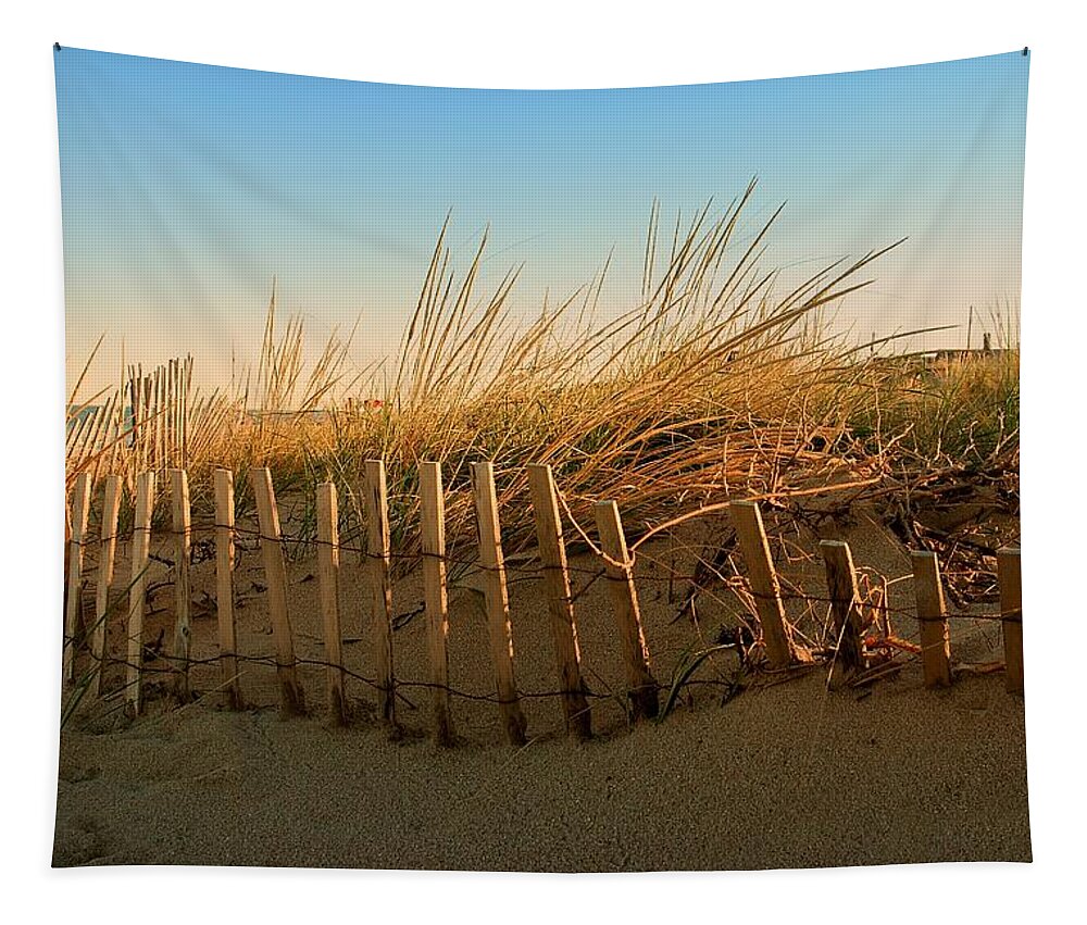 Jersey Shore Tapestry featuring the photograph Sand Dune in Late September - Jersey Shore by Angie Tirado