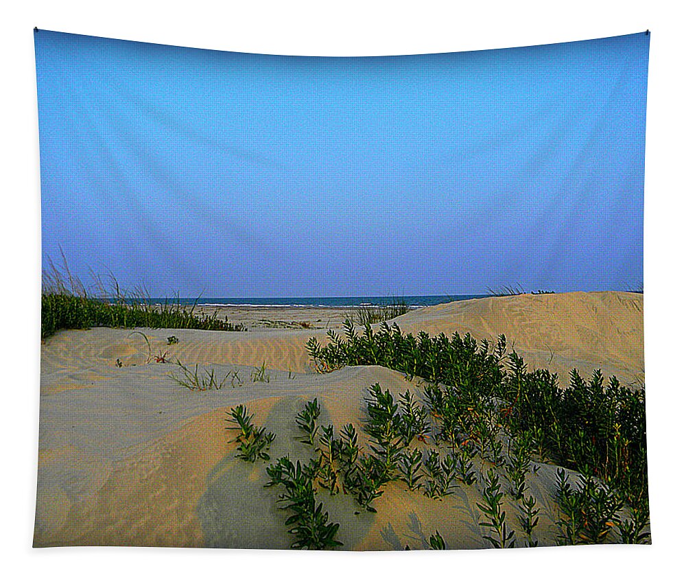 Sand Tapestry featuring the photograph Sand Dunes of Sullivan by Leslie Revels