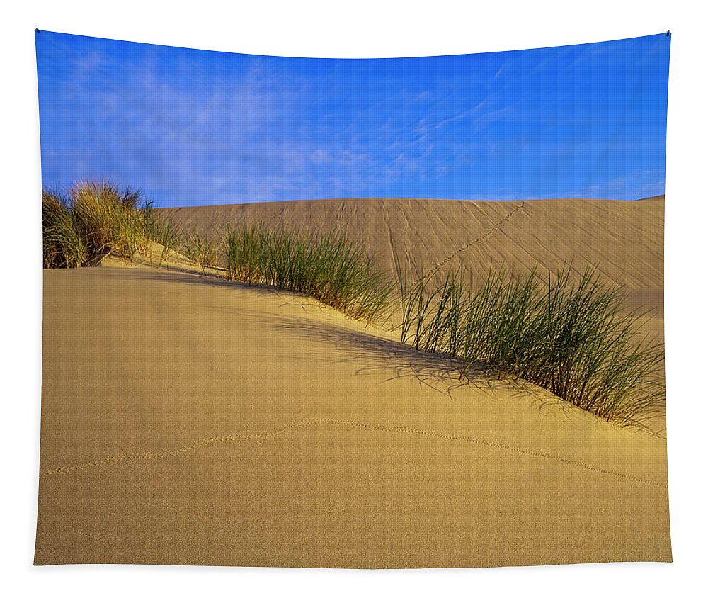 Beach Grass Tapestry featuring the photograph Sand Tracks by Robert Potts