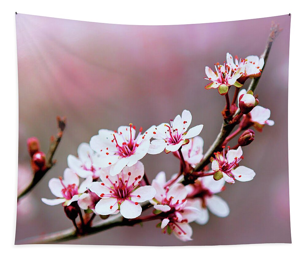 Sandcherry Blossoms Tapestry featuring the photograph Sandcherry Blossoms by Carolyn Derstine