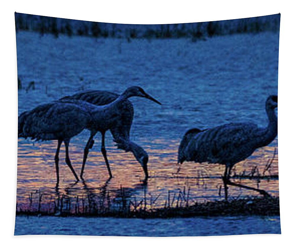 Animals Tapestry featuring the photograph Sandhill Cranes at Twilight by Bruce Bonnett