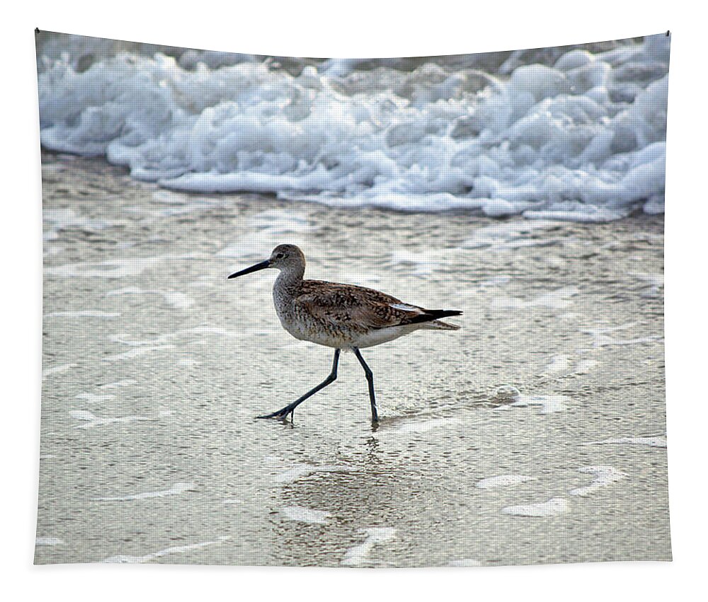 Sandpiper Tapestry featuring the photograph Sandpiper Escaping The Waves by Kenneth Albin
