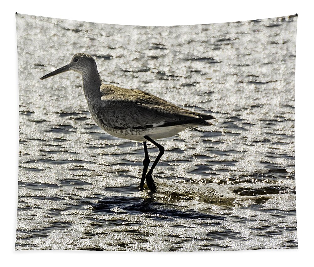Original Tapestry featuring the photograph Sandpiper by WAZgriffin Digital